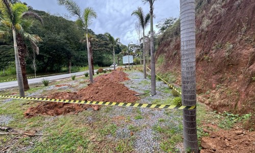  Barra do Piraí promove substituição de espécies de plantas em Ipiabas e no Largo da Feira